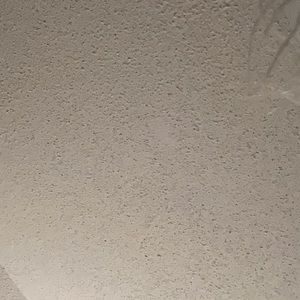 Meet your Posher, Tess